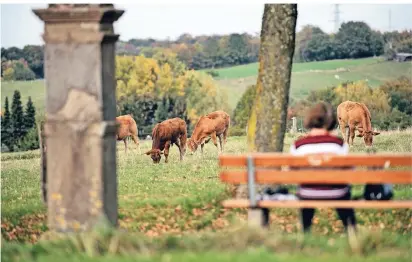  ?? FOTOS: RALPH MATZERATH ?? Aussicht gibt es in Ropenstall satt, saftiges Gras auch. Wer hier die frische Luft atmet oder beim Wandern eine Pause einlegt, mag kaum glauben, dass das Dörfchen Teil der Großstadt Leverkusen ist.