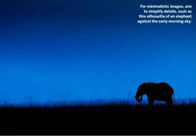  ?? ?? For minimalist­ic images, aim to simplify details, such as this silhouette of an elephant against the early morning sky.