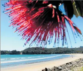  ??  ?? Buffalo Beach at Whitianga — one of nine iconic summer holiday hot spots where Waikato Regional Council will be monitoring water quality.
