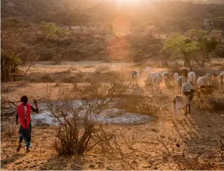  ?? ?? Life can be tricky enough for tribesmen surviving in a drought, without putting up with raiders