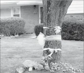  ?? Jose Luis Magana
Associated Press ?? FLOWERS AND RIBBONS adorn a tree last week in Rockville, Md., outside the family home of Warren Weinstein, an aid worker killed in a U.S. drone strike.