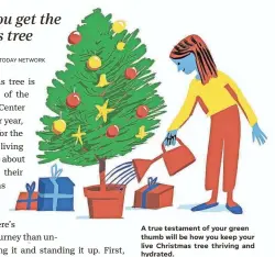  ?? ILLUSTRATI­ONS BY JOAO FAZENDA FOR REVIEWED/USA TODAY NETWORK ?? A true testament of your green thumb will be how you keep your live Christmas tree thriving and hydrated.