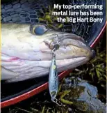  ??  ?? My top-performing metal lure has been the 18g Hart Bony