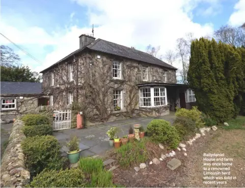  ??  ?? Ballydanie­l House and farm was once home to a renowned Limousin herd which was sold in recent years