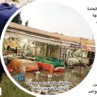  ??  ?? مياه األمطار تحاصر سوق الثالثاء الشعبي بأبها.