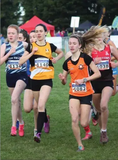  ??  ?? Holly Brennan of Cilles AC (1082) sets a hot pace during her race at the All-Ireland Cross-Country Championsh­ips.