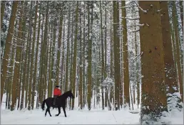  ?? KERSTIN JOENSSON — THE ASSOCIATED PRESS FILE ?? On Feb. 2, a woman rides with her horse through a forest near Lofer in the Austrian province of Salzburg.