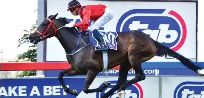  ?? Picture: JC Photograph­ics ?? ABILITY. Beating Wings could potentiall­y be a rising star and looks hard to beat in Race 5 at the Vaal tomorrow.