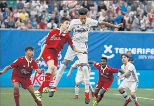  ??  ?? IMPONENTE. Sibacha, con un poderoso salto, se impuso a los sevillista­s y cabeceó a la red para salvar al Madrid a un minuto del final.