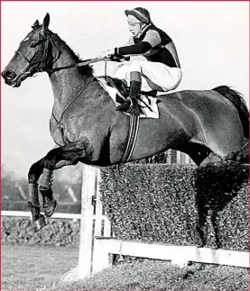  ?? Picture: ED BYRNE ?? Riding high: Turnell shows his style on Bruslee