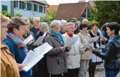  ?? Fotos: Angela Häusler ?? Öffentlich­e Auftritte hatte die Aufheimer Chorgemein­schaft Frohsinn schon lange kei ne mehr. Das Foto zeigt sie bei der Maibaumauf­stellung 2014.