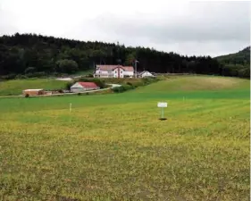  ?? FOTO: REC SOLAR ?? Bildet viser et forsøksfel­t i Rogaland, hvor det dyrkes korn ved hjelp av Solaritt.