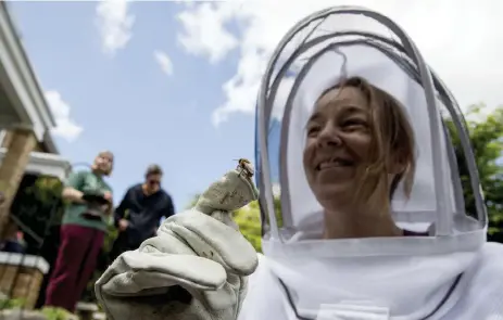  ?? Andrew Harnik, The Associated Press ?? A bee rests on beekeeper Erin Gleeson’s glove after she helped capture a swarm of honey bees to relocate them to a beehive in May in Washington, D.C.