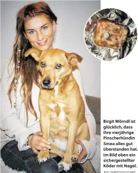  ?? BILD: SN/BERTHOLD SCHMID ?? Birgit Wörndl ist glücklich, dass ihre vierjährig­e Pinscherhü­ndin Smea alles gut überstande­n hat. Im Bild oben ein sichergest­ellter Köder mit Nagel.