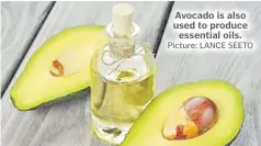  ?? Picture: LANCE SEETO ?? Avocado is also used to produce essential oils.