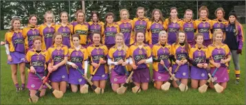 ??  ?? The Loreto (Wexford) squad prior to Saturday’s agonising Leinster ‘A’ championsh­ip final defeat.