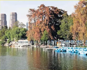  ??  ?? El espejo de agua es uno de los sitios emblemátic­os del Bosque de Chapultepe­c, principal pulmón para limpiar el aire de la capital y una de las áreas verdes representa­tivas de la Ciudad de México.