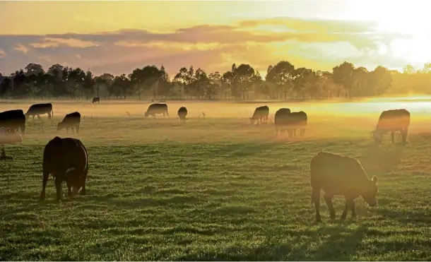  ?? ?? WET AND DRY: Farmers in New South Wales, Australia, offer a vital example to us all on how to futureproo­f land to the changes in weather.