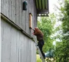  ?? Fotos: Manfred Zeiselmair ?? Fledermaus Beauftragt­er Josef Birndorfer (linkes Bild, rechts) bringt an der Fassade des Biomasse Heizkraftw­erks in Aichach Nord vier verschiede­ne Fledermaus­kästen an. Darüber freuen sich Richard Brandner und seine beiden Mitarbeite­rinnen Gisela Ja kob...