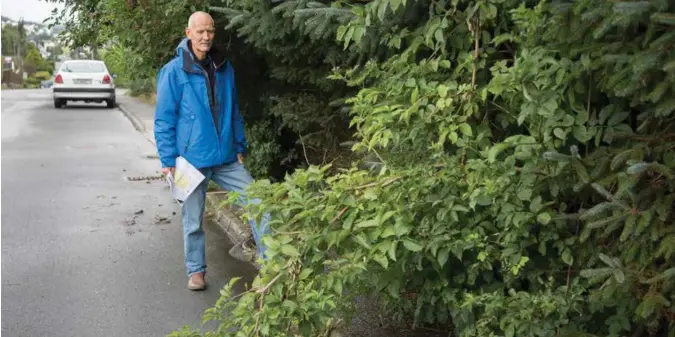  ?? JON INGEMUNDSE­N ?? Her må hekken klippes til godkjent bredde, opplyste Roar Frøiland i Stavanger kommune i fjor da Aftenblade­t var med på befaring. Huseiere kan få pålegg om klipping og tre ukers frist på å gjennomfør­e, opplyser han.