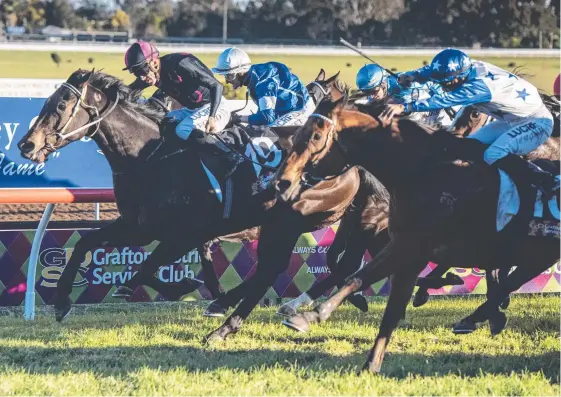  ?? Picture: ADAM HOURIGAN ?? Havasay (right) storms home to snatch the Ramornie Handicap victory from Star Boy (left) with Freddie Fox Trot (rails) third.