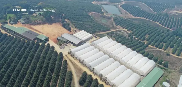  ?? Photos: Supplied ?? ABOVE: Anro Boerdery near Barberton in Mpumalanga has a macadamia nursery and 75ha under macadamia production.The operation has been using Aerobotics software since March.