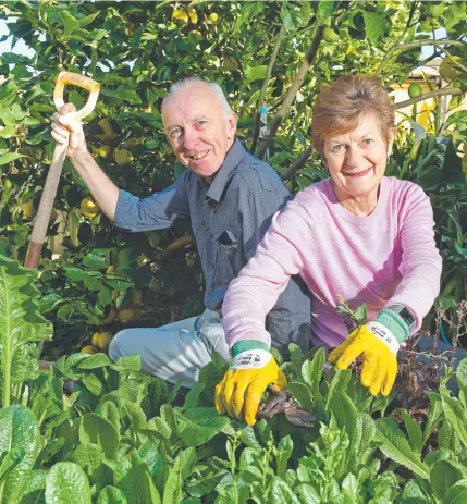  ??  ?? CASH BUFFER: Dom and Marlene Henschke’s diversifie­d portfolio has helped them during the coronaviru­s. Picture: Tom Huntley