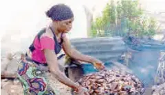  ??  ?? A woman smoke fish in Edeha village of Koton-Karfe Local government of Kogi State