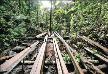  ?? AFP ?? The impact of climate change has dialled up the pressure on defenders as they seek to protect indigenous land rights and stop commercial loggers and miners destroying pristine rainforest­s and polluting the environmen­t.