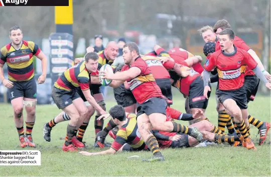  ??  ?? Impressive EK’s Scott Shankie bagged four tries against Greenock