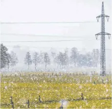  ?? FOTO: JÜRGEN FEICHTER/IMAGO IMAGES ?? Das war Bonfatius’ Eisheilige­n-Werk: Momentaufn­ahme vom gar nicht so frühlingsh­aften 14. Mai 2019.