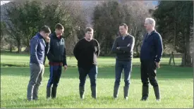  ??  ?? Inspecting a field of Lambhill variety grass seed, pictured from Left to right: Adam Heffernan, Kellihers Feed &amp; Agri Ballymulle­n, Sean O’Connor, Beaufort, Cian O’Sullivan, Beaufort, John Enright DLF Seeds and John O’Connor Beaufort