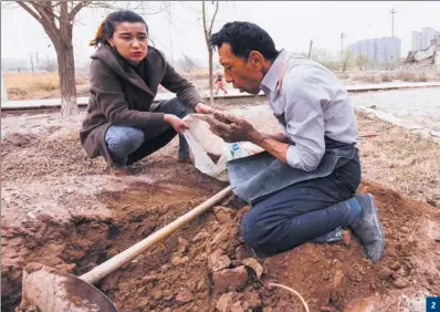  ?? PHOTOS BY ZHAO GE / XINHUA ?? 1: Tursun checks the earthenwar­e to see if there are any flaws.
2: Tursun digs for clay with his daughter on the bank of Tuman River. 3: Tursun is on his way to deliver the earthenwar­e ordered by tourists. 4: Tursun’s daughter helps him making the...