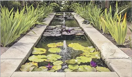  ??  ?? A POND filled with water lilies greets visitors to the Santa Monica home, signaling the quiet retreat to be found in the backyard.