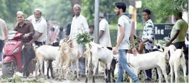  ?? Agence France-presse ?? ↑
Livestock vendors wait for customers to sell goats ahead of the Eid Al Adha festival at a market in Allahabad on Monday.