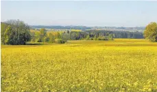  ?? FOTO: NATURSCHUT­ZZENTRUM ?? Seit vielen Jahrtausen­den prägen die Menschen in Mitteleuro­pa die Landschaft.