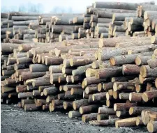  ?? CANADIAN PRESS FILES ?? Logs are stacked at Murray Brothers Lumber Company woodlot in Madawaska, Ont.