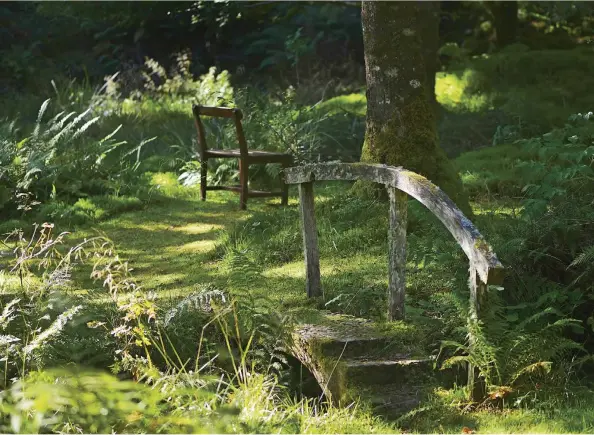  ??  ?? Left: Blue Agapanthus.
Right: Crocosmia rivers flow through the lower garden. Below: A winding path in the woodland garden.