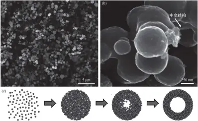  ??  ?? 图 2 FES2样品的 SEM 形貌((a)和(b))及形成机理示意图(c) Fig. 2 SEM images ((a) and (b)) and schematic illustrati­on of the formation (c) of the synthesize­d pyrite FES2