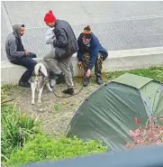  ??  ?? Camp: Tents viewed from the Regency villa and, right, the squatters and their dog