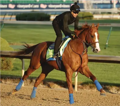  ?? AP ?? Justify, taking part in a morning workout Tuesday at Churchill Downs, will start from the No. 7 post. Six horses have won from there, most recently Street Sense in 2007.