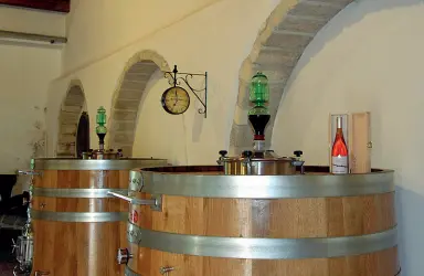  ??  ?? I vigneti e un ambiente della cantina Biancardi di Cerignola, fondata da una famiglia da sempre dedita alla produzione di vino