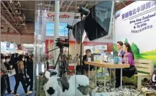  ?? WANG ZHUANGFEI / CHINA DAILY ?? A New Zealand dairy brand promotes its products via livestream­ing at the third CIIE in Shanghai.