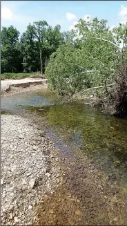  ?? NWA Democrat-Gazette/FLIP PUTTHOFF ?? Big Sugar has some tricky spots where trees have fallen across the stream. Walking the boat around these is good advice.