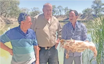  ??  ?? This screen grab taken from video released by the office of independen­t New South Wales member of parliament Jeremy Buckingham shows Buckingham (right) holding a decades-old native Murray cod, which was killed during a massive fish kill in Menindee on the Darling River, as local residents Dick Arnold (left) and Rob McBride from Tolarno Station look on. — AFP Photo