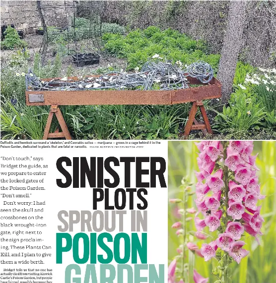 Sinister Plots Sprout In Poison Garden Pressreader
