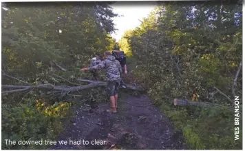  ??  ?? The downed tree we had to clear.