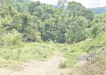  ?? Picture: JOHN KAMEA ?? The slope to Drauleba’s stream that residents having been using for decades.