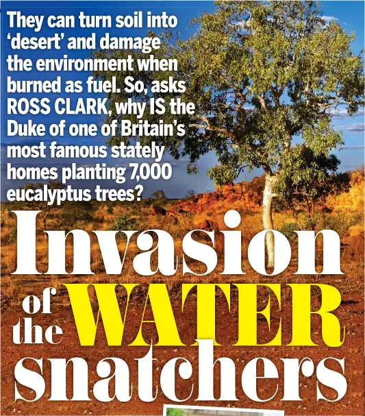  ??  ?? Thirsty: Eucalyptus trees can leave the land parched. Inset, the Duke and Duchess of Devonshire Pictures: PAUL MAYALL/ALAMY/DEVONSHIRE COLLECTION CHATSWORTH