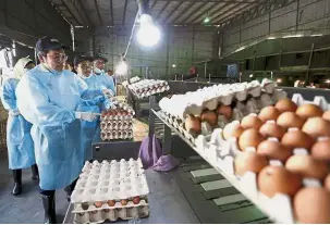  ?? — Bernama ?? No shortage: Sim checking on the supply of eggs at a poultry farm in Changkat, Nibong Tebal.